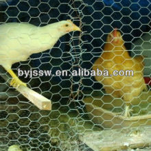 Chicken Coop Wire Netting For Sale